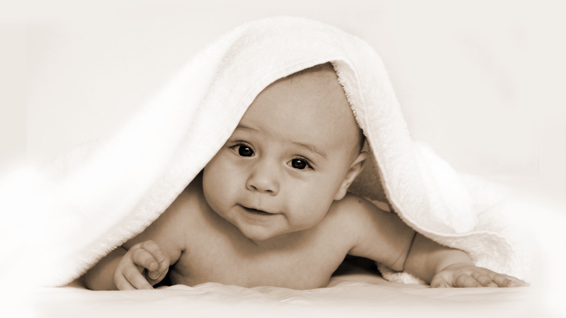 捐卵自怀试管婴儿和人工授精哪个成功率高
